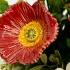 Large Centerpiece with Decor Poppy