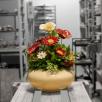 Large Centerpiece with Decor Poppy