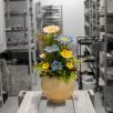 Centerpiece with Hibiscus