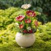 Centerpiece with Hibiscus