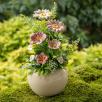 Centerpiece with Hibiscus