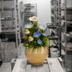 Large Centerpiece with Moonflower - Blue