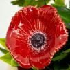 Large Centerpiece with Poppie