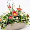 Premium Centerpiece with Bellflowers - Red