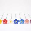 Linum Flower