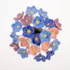 Linum Flower