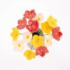 Linum Flower
