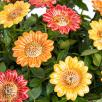 Decor Sunflower