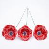 Poppy