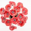 Poppy