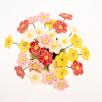 Strawberry Flower