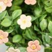 Strawberry Flower