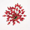 Rosehip