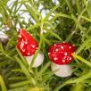 Little Mushroom - Red
