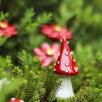 Little Mushroom