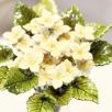 Hortensia