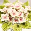 Hortensia