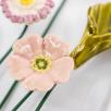 Flower Picture with Meadow Buttercup