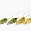 Tulip Leaf