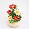Medium Centerpiece with Garden Cosmos