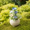 Mini Centerpiece with Linum Flowers - Blue