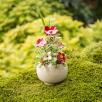 Mini Centerpiece with Linum Flowers