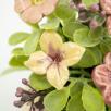 Mini Centerpiece with Linum Flowers