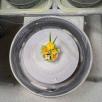 Mini Centerpiece with Linum Flowers