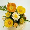 Large Centerpiece with Decor Poppy