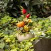 Small Centerpiece with Pumpkin