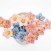Cluster Mallow