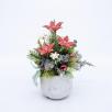 Christmas Small  Centerpiece with Star Flowers