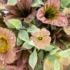Happy Together Medium Bouquet