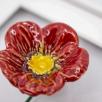 Flower Picture with Meadow Buttercup