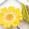 Flower Picture with Moonflower
