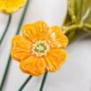 Flower Picture with Meadow Buttercup