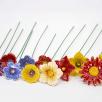  Thousand Color Medium Flower Selection