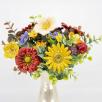 Thousand Color Large Flower Selection