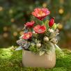 Christmas Medium Centerpiece with Hibiskus 