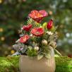 Christmas Medium Centerpiece with Hibiskus 