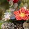 Christmas Medium Centerpiece with Hibiskus 