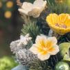 Christmas Medium Centerpiece with Hibiskus 