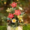 Large Christmas Centerpiece with Star Flowers