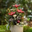 Christmas Small  Centerpiece with Star Flowers