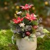 Christmas Small  Centerpiece with Star Flowers
