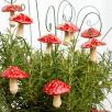 Hanging Mushroom