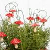 Hanging Mushroom
