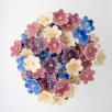 African Violet