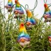 Rainbow Elf