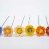 Wild Rose